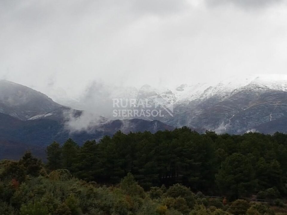 Hostería Rural en Madrigal de la Vera - Imagen 47