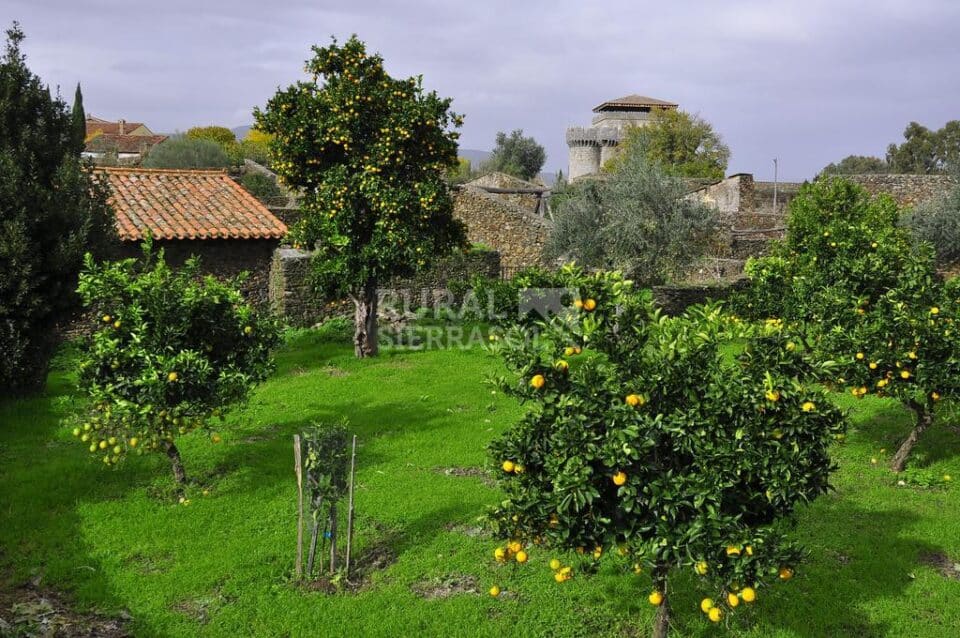 Bonita Casa Rural en Baños de Montemayor - Imagen 42