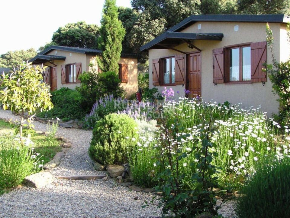 Acogedora Casita Rural en Belvis de Monroy - Imagen 2