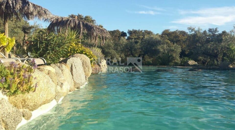 Fabulosa Casa Rural en el Pedroso, con piscina y aire acondicionado - Imagen 2