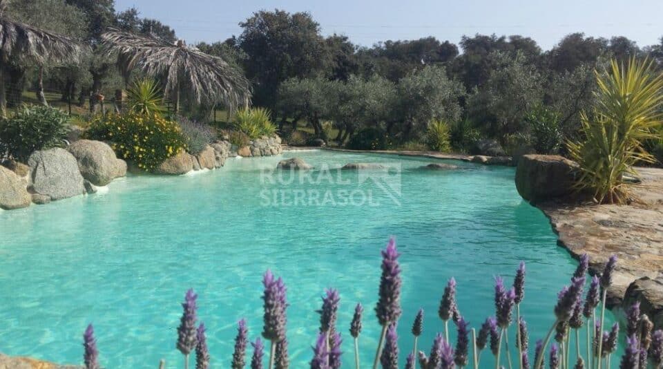 Fantástica Casa Rural en El Pedroso, con piscina y preciosos jardines - Imagen 2