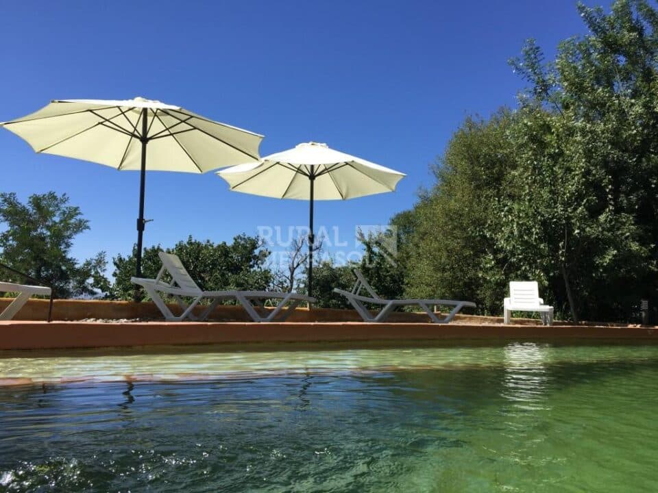 Maravilloso Alojamiento Rural en Pitres, con piscina y wifi - Imagen 2