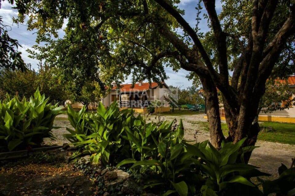 Acogedora Casa Rural en Hervás, con piscina - Imagen 20