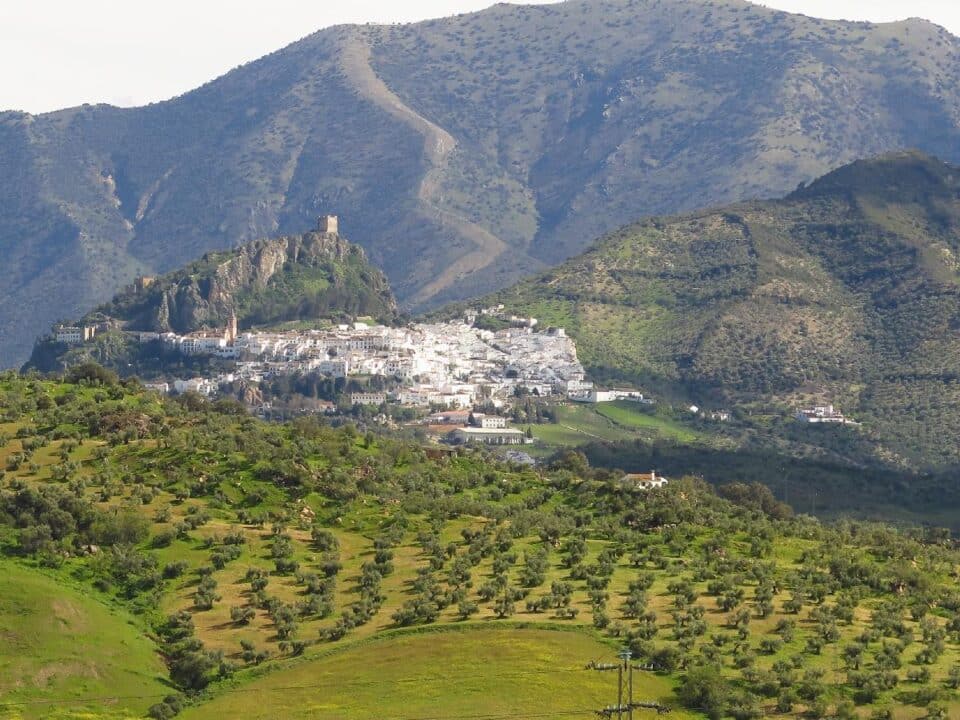 Acogedor Apartamento Rural tipo Estudio en Zahara de la Sierra - Imagen 28