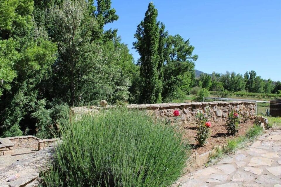 Posada el Molino - Imagen 18
