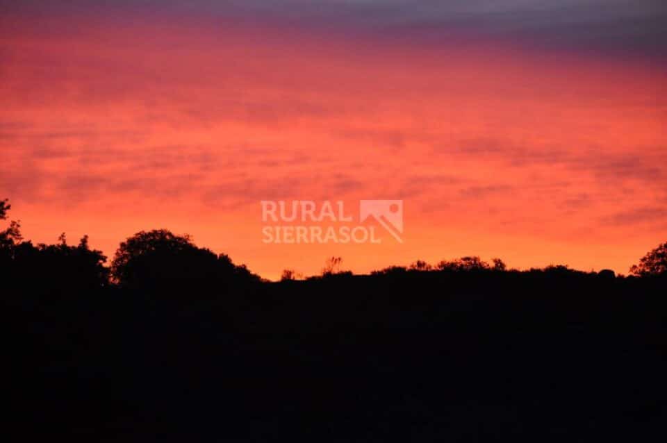 Magnífico Conjunto Rural en Belvis de Monroy - Imagen 57
