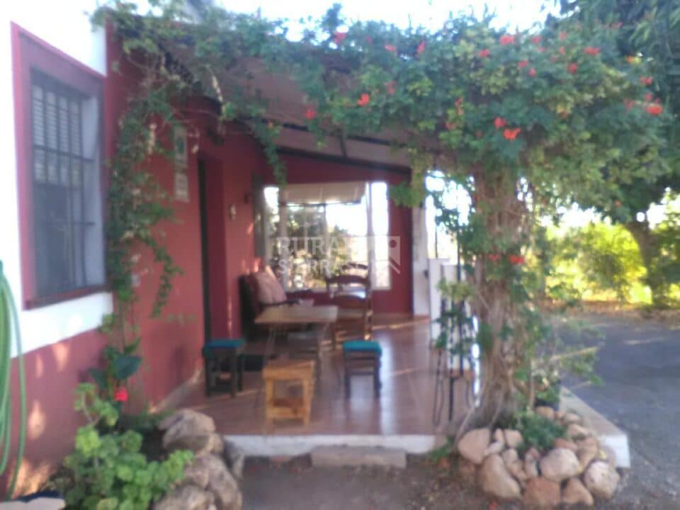 Amplia Casa de Campo en Villamartín, con barbacoa y piscina vallada - Imagen 4