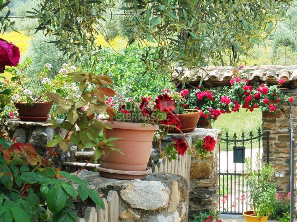Acogedora Casa Rural en plena Naturaleza, con amplio jardín - Imagen 24