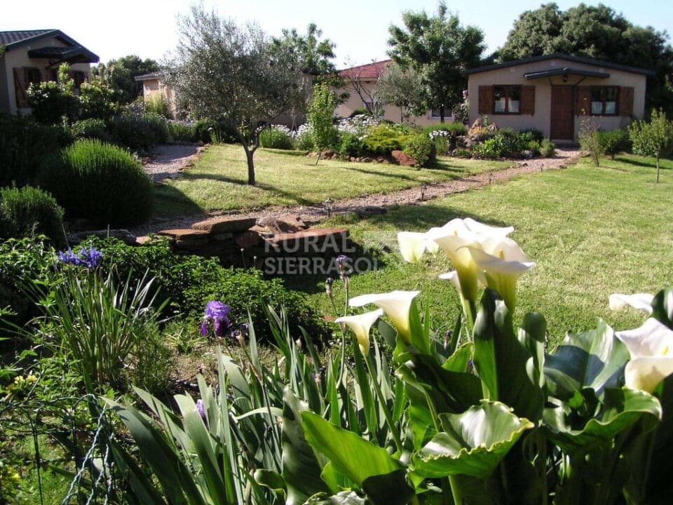 Acogedora Casita Rural en Belvis de Monroy - Imagen 20