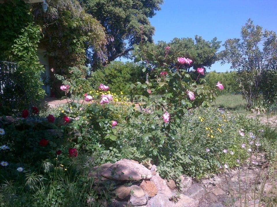 Acogedora Casita Rural en Belvis de Monroy - Imagen 28