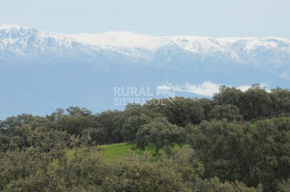 Acogedora Casita Rural en Belvis de Monroy - Imagen 34