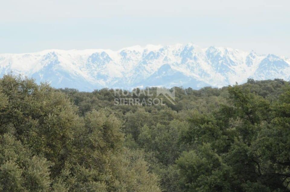 Acogedora Casita Rural en Belvis de Monroy - Imagen 35