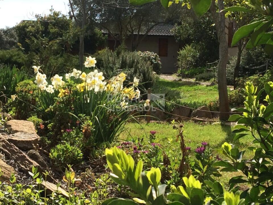 Acogedora Casita Rural en Belvis de Monroy - Imagen 43