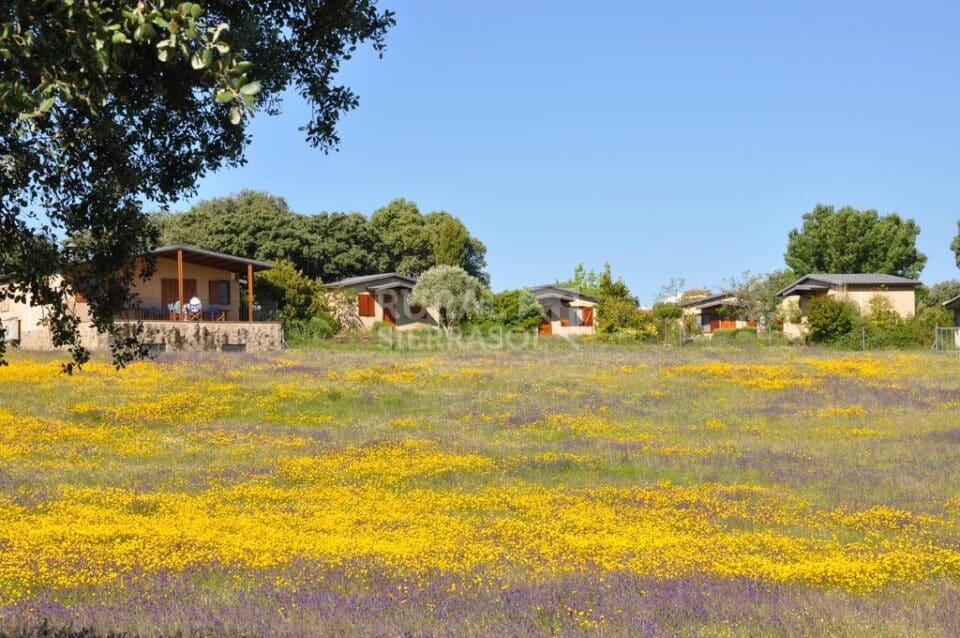 Acogedora Casita Rural en Belvis de Monroy - Imagen 45
