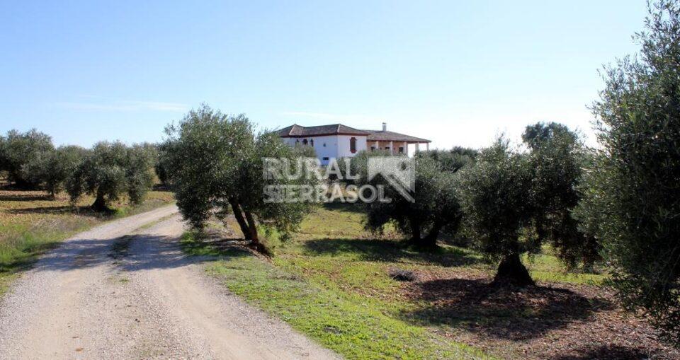 Casa Rural en La Carlota, con piscina, barbacoa y aire acondicionado - Imagen 33