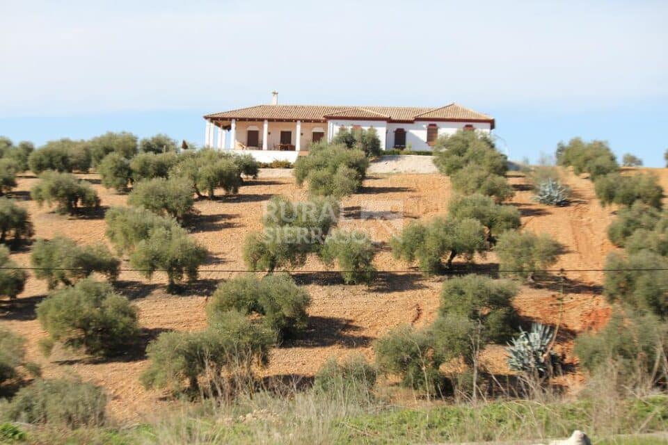 Casa Rural en La Carlota, con piscina, barbacoa y aire acondicionado - Imagen 34