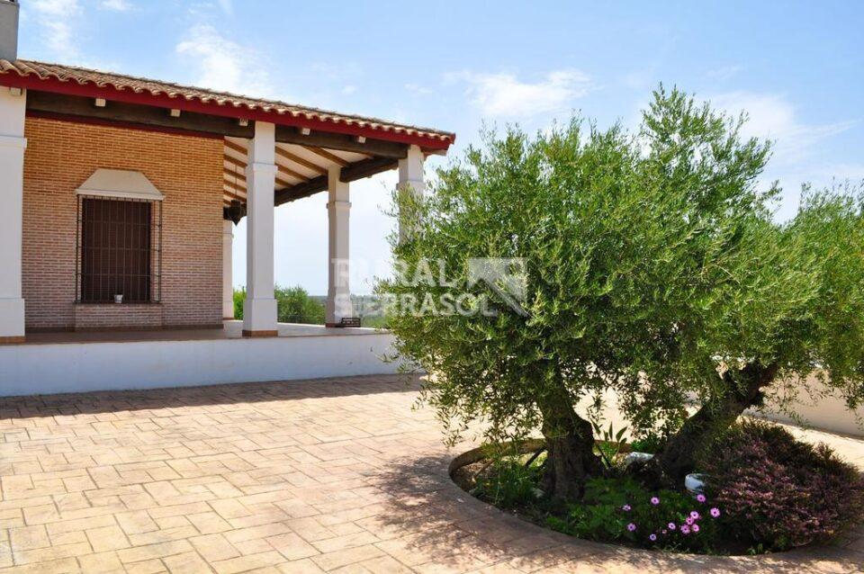 Casa Rural en La Carlota, con piscina, barbacoa y aire acondicionado - Imagen 57