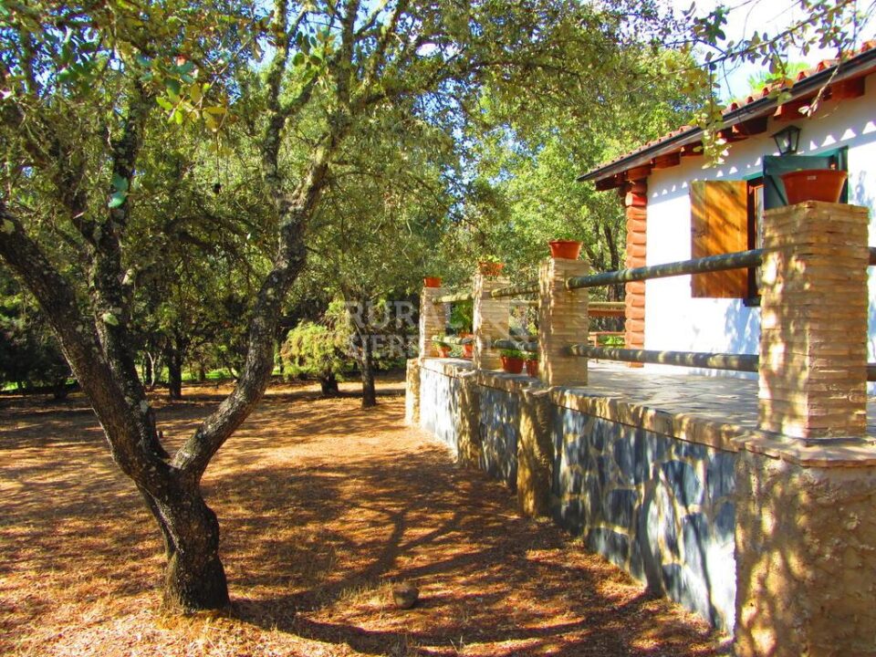 Complejo Rural en el Parque Natural de la Sierra de Aracena y Picos de Aroche - Imagen 33