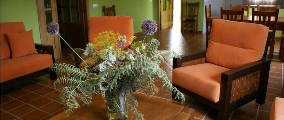 Conjunto rural en Cortegana, con piscina climatizada - Imagen 28