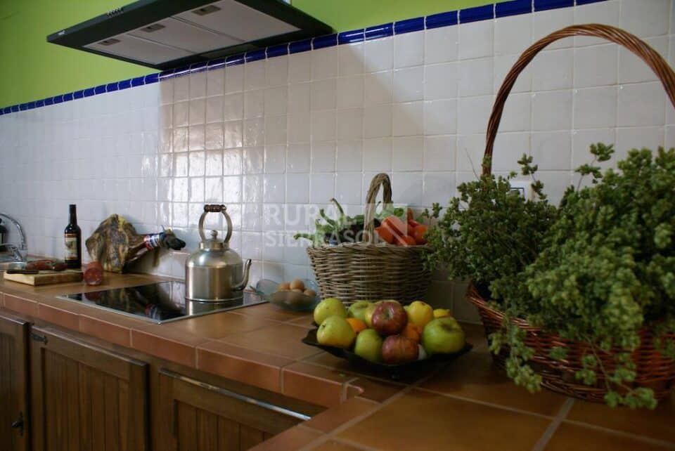 Conjunto rural en Cortegana, con piscina climatizada - Imagen 58