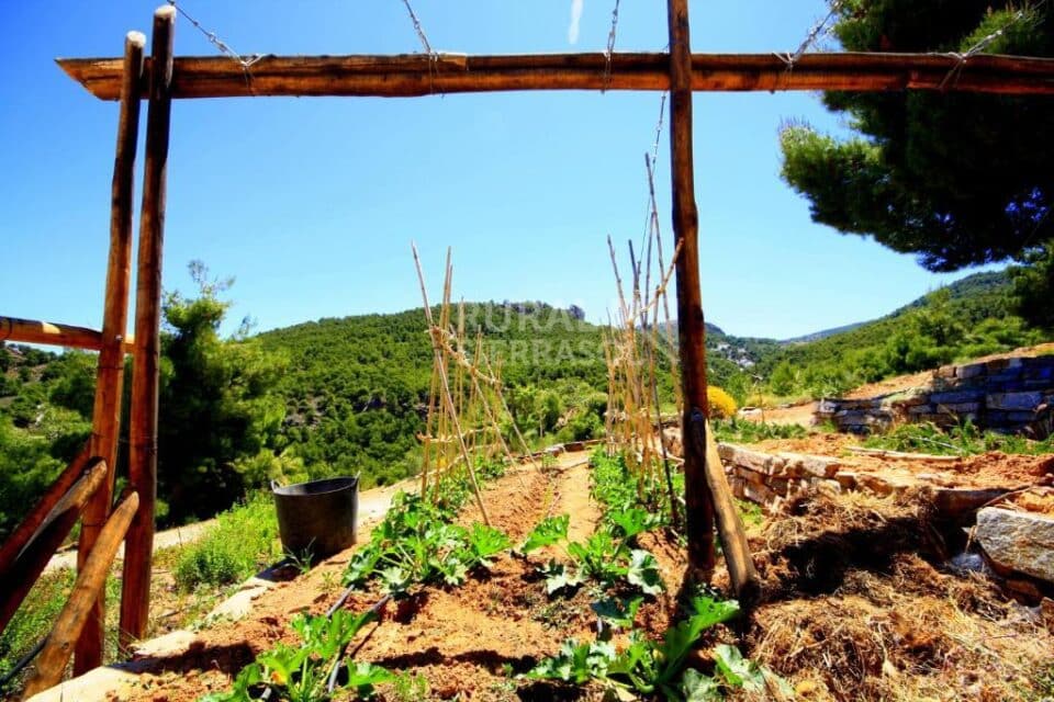 Acogedor Alojamiento Rural en Serón, con barbacoa, piscina y wifi - Imagen 27