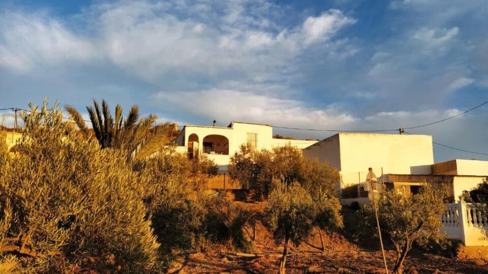 Acogedora Casa Cueva en Tabernas, a 30 minutos de la playa - Imagen 17