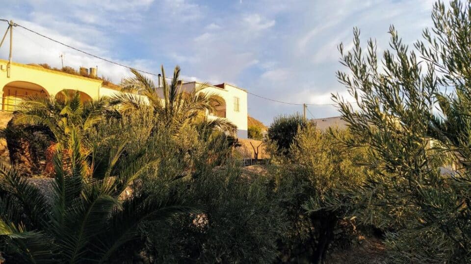 Acogedora Casa Cueva en Tabernas, a 30 minutos de la playa - Imagen 25