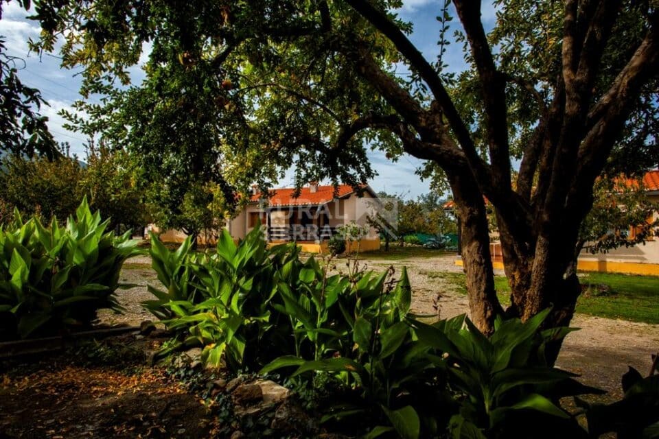 Espléndida Casa Rural en Hervás, con piscina y wifi - Imagen 28