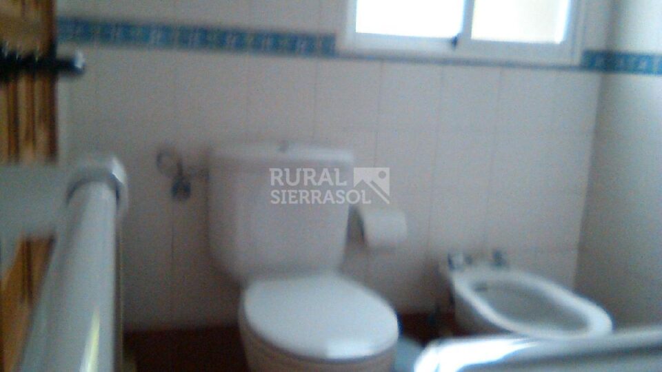 Casa Rural en Cerro Muriano, con piscina, aire acondicionado y wifi - Imagen 39