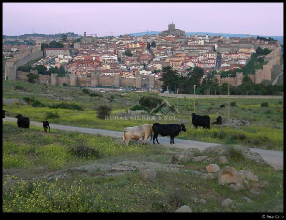 Casa Rural Ribera del Adaja - Imagen 9