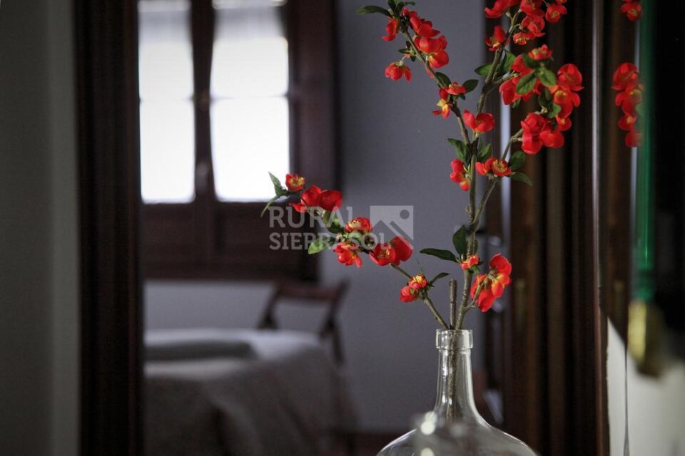 Casa Rural en el Casco Histórico de Priego de Córdoba - Imagen 63