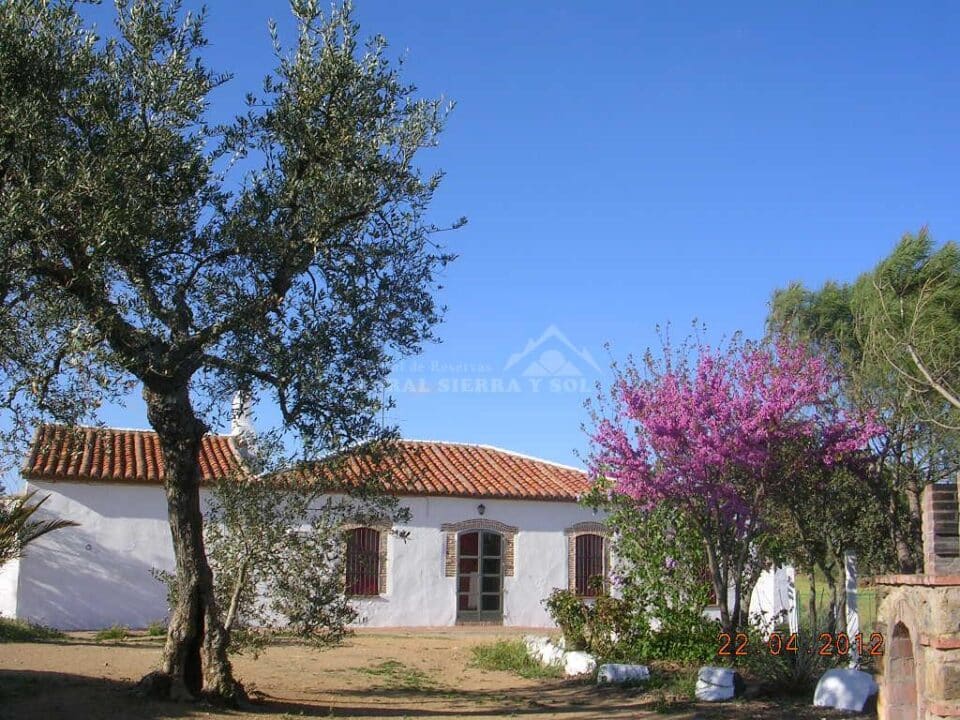 Cortijo con chimenea y barbacoa, en Azuaga - Imagen 37