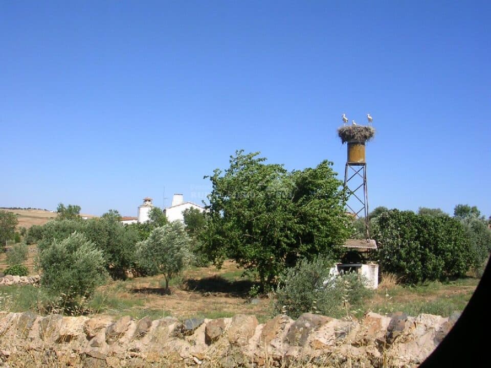 Cortijo con chimenea y barbacoa, en Azuaga - Imagen 38
