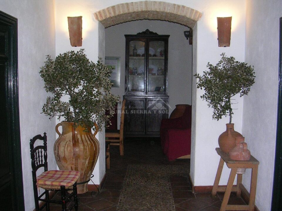 Cortijo con chimenea y barbacoa, en Azuaga - Imagen 39