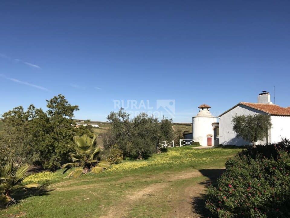 Cortijo con chimenea y barbacoa, en Azuaga - Imagen 29