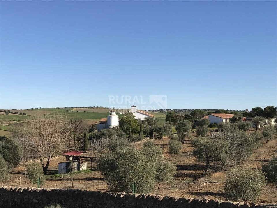 Cortijo con chimenea y barbacoa, en Azuaga - Imagen 30