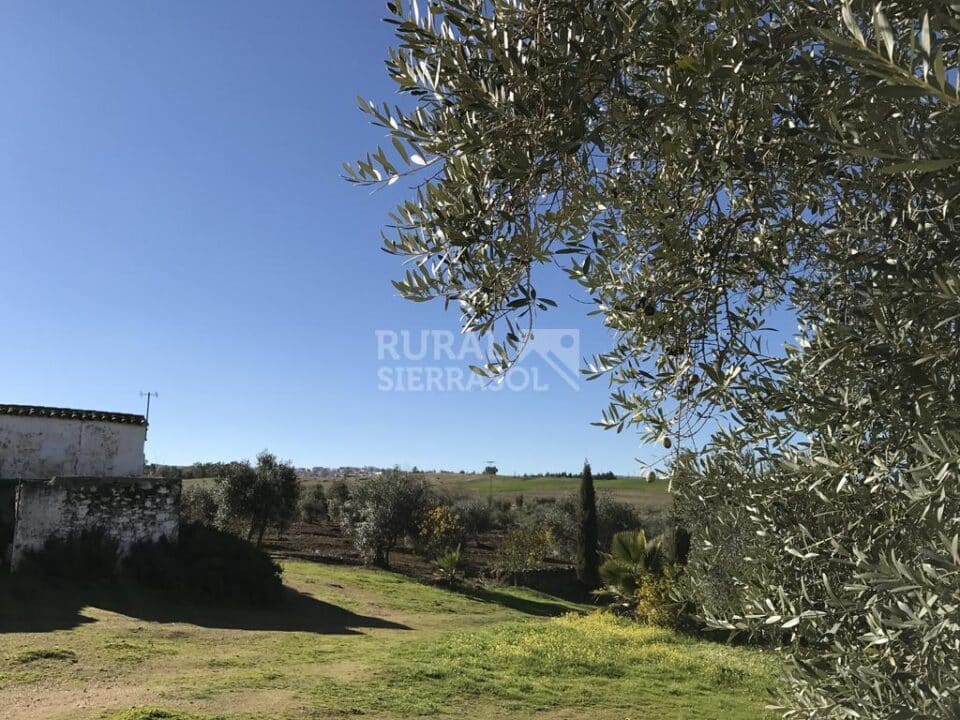 Cortijo con chimenea y barbacoa, en Azuaga - Imagen 31