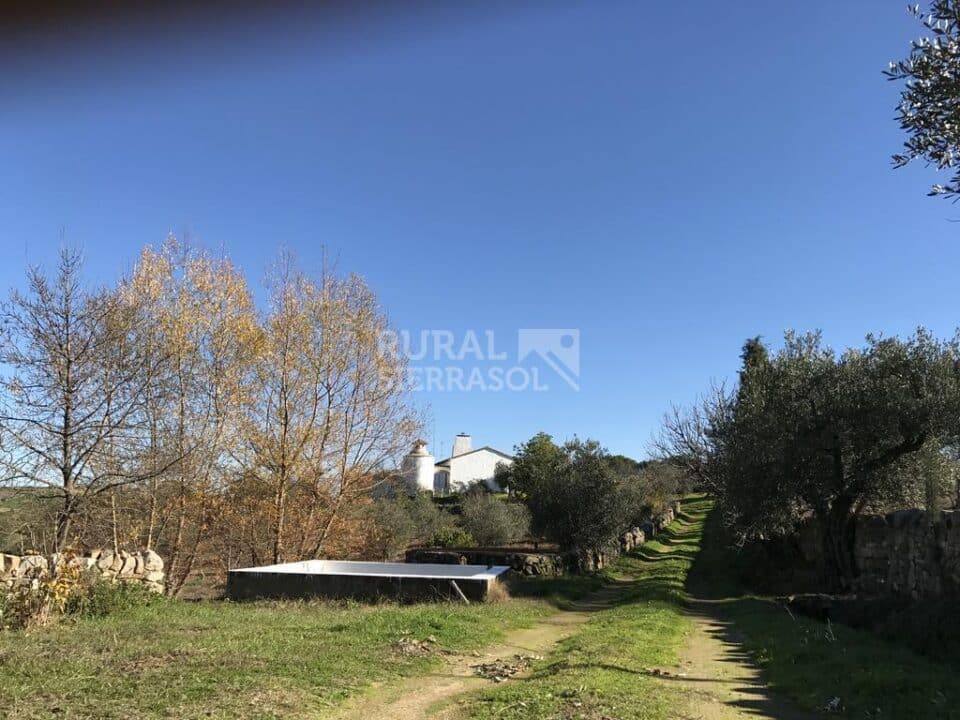 Cortijo con chimenea y barbacoa, en Azuaga - Imagen 32