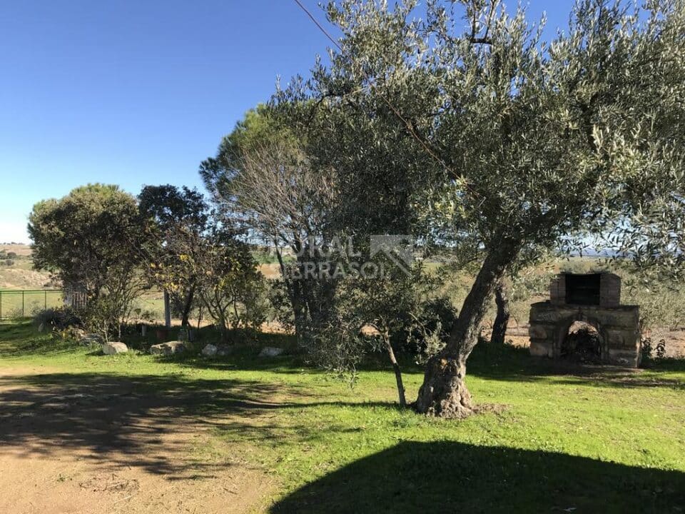 Cortijo con chimenea y barbacoa, en Azuaga - Imagen 34
