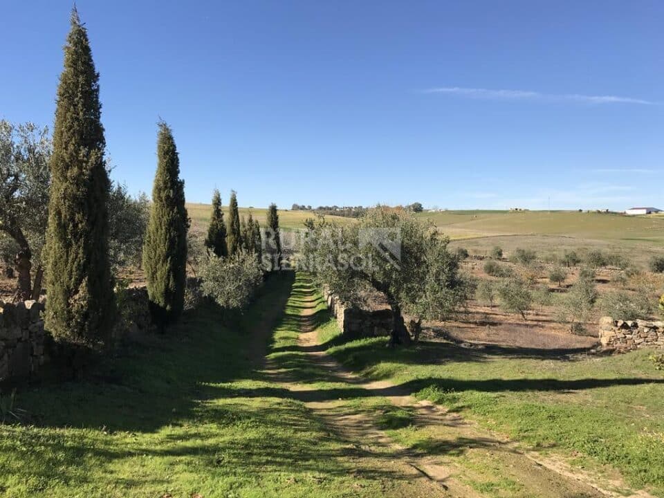 Cortijo con chimenea y barbacoa, en Azuaga - Imagen 35