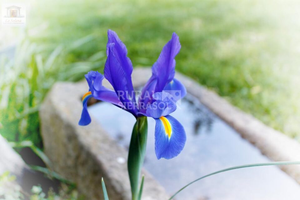 Conjunto Rural con piscina, en Malpartida de Plasencia - Imagen 62