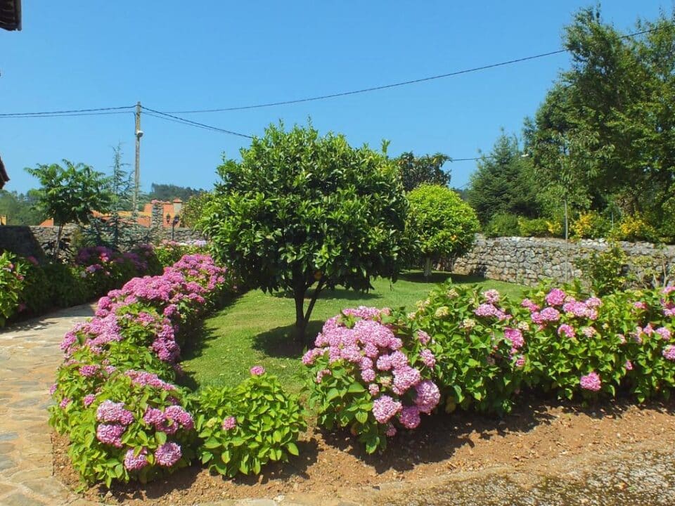 Hosteria El Pomar - Imagen 20