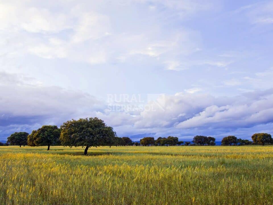 Elegante Casa Rural junto al Parque Nacional de Monfragüe - Imagen 21