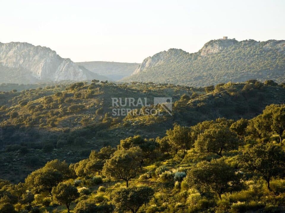 Elegante Casa Rural junto al Parque Nacional de Monfragüe - Imagen 22