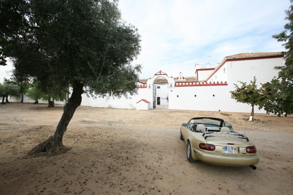 Cortijo Andaluz en Villanueva del Río y Minas, con piscina y barbacoa - Imagen 12