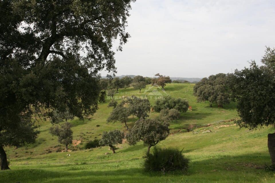 Acogedora Casa Rural en Villanueva del Río y Minas, con piscina - Imagen 7
