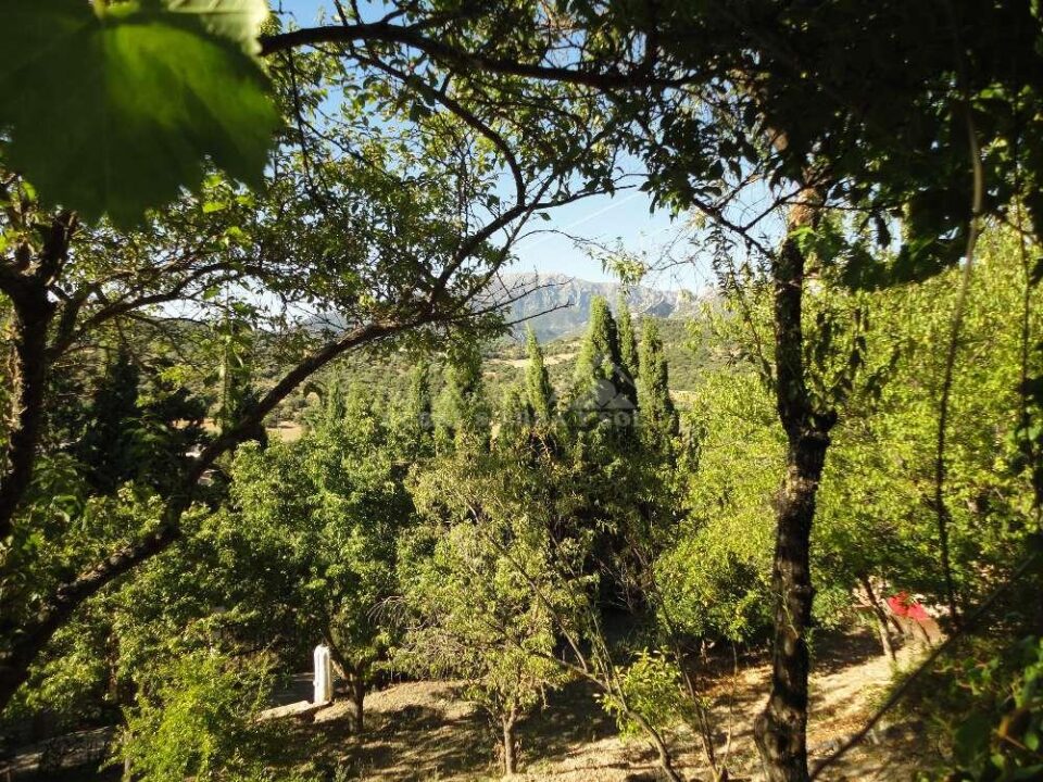 Maravillosa Casa Rural en Ubrique con piscina, chimenea y barbacoa - Imagen 16