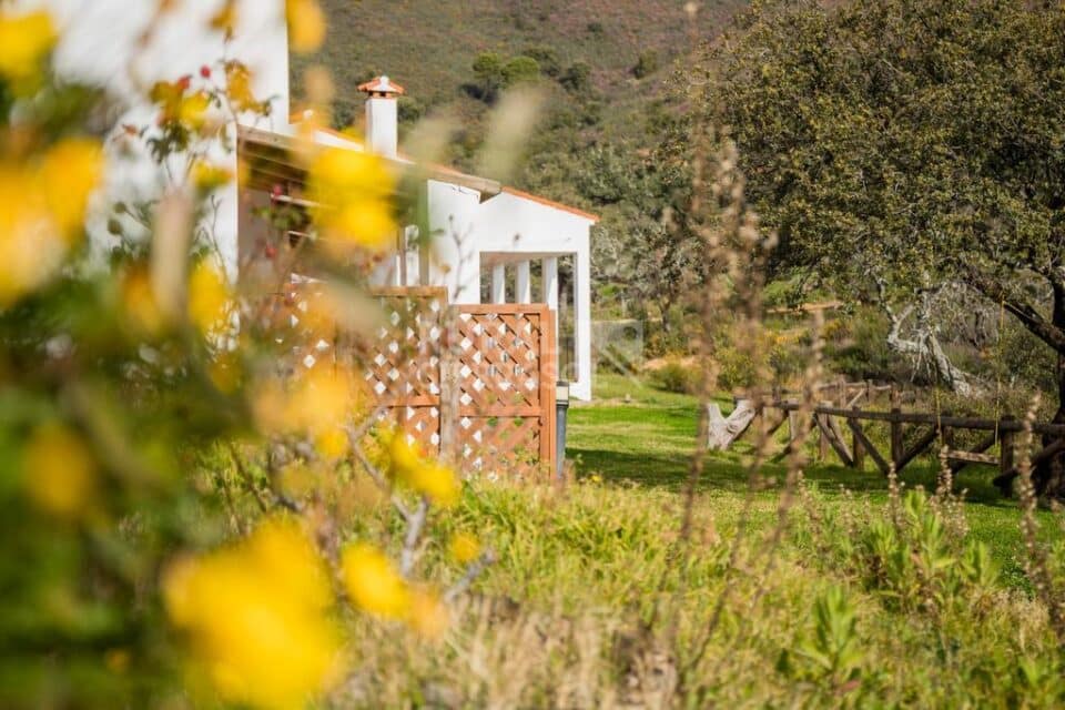 Complejo Rural en el Parque Natural de la Sierra de Aracena y Picos de Aroche, con piscina y restaurante - Imagen 51
