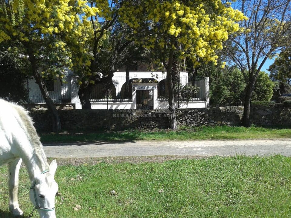 Ancestral Casa Rural con chimenea y barbacoa, en Tejeda de Tiétar - Imagen 37