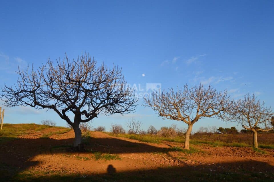 Ancestral Casa Rural con chimenea y barbacoa, en Tejeda de Tiétar - Imagen 58